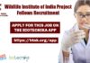 Wildlife Institute of India Project Fellows Recruitment, Life & Biological Sciences Apply WII Biological Sciences Project