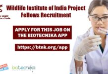 Wildlife Institute of India Project Fellows Recruitment, Life & Biological Sciences Apply WII Biological Sciences Project