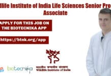 Wildlife Institute of India Life Sciences Senior Project Associate Recruitment WII Project Associate Jobs