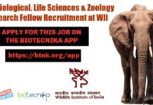 MSc Biological, Life Sciences & Zoology Research Fellow Recruitment at WII WII SRF Vacancy