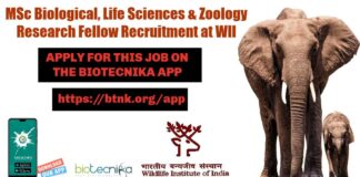 WII SRF Vacancy