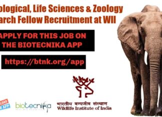 WII SRF Vacancy