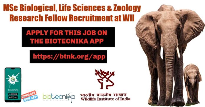 WII SRF Vacancy