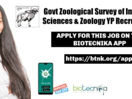 Young Professional Jobs ZSI