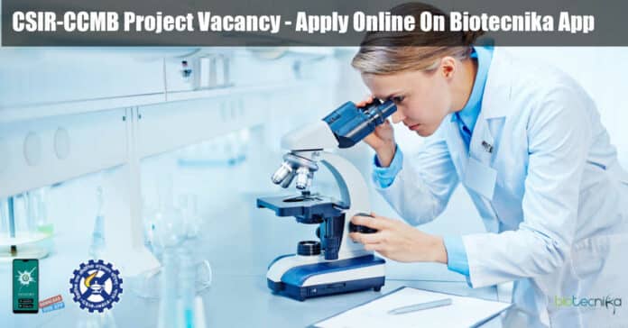 CCMB Associate Job