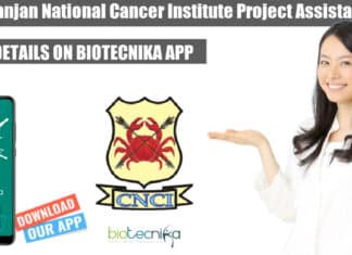 CNCI Project Assistant Job