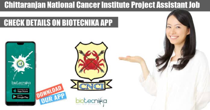 CNCI Project Assistant Job