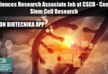 Life Sciences Research Associate Job at CSCR – Centre for Stem Cell Research CSCR PhD Life Sciences
