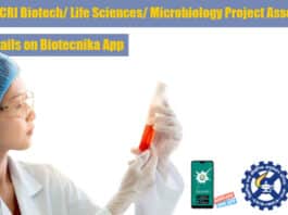 CSMCRI Project Associate