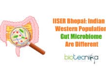 IISER Bhopal Explains The Differences In Western & Indian Gut Bacterial Compositions Differences In Indian & Western Gut Microbiome