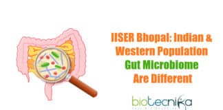 Differences In Indian & Western Gut Microbiome