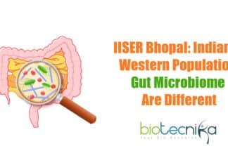 Differences In Indian & Western Gut Microbiome