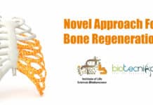 Mucin Can Be The Next Matrix Of Choice For Bone Tissue Engineering New method to aid bone regeneration