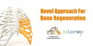 New method to aid bone regeneration