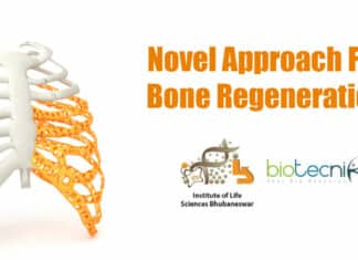 New method to aid bone regeneration