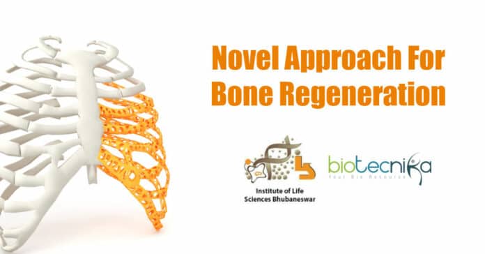New method to aid bone regeneration