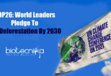 COP26: Over 100 Global Leaders Pledge To Turn Tide On Deforestation World-leaders pledge to end deforestation