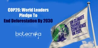 World-leaders pledge to end deforestation