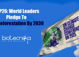 World-leaders pledge to end deforestation