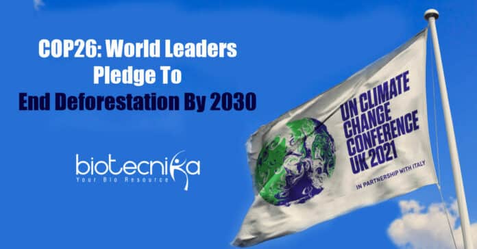 World-leaders pledge to end deforestation
