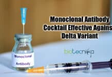 Monoclonal antibody Cocktail