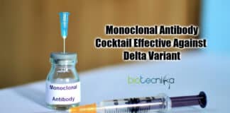 Monoclonal antibody Cocktail