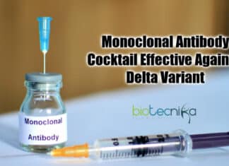 Monoclonal antibody Cocktail