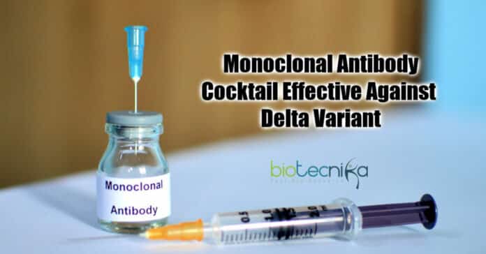 Monoclonal antibody Cocktail
