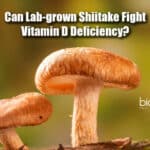 Can Lab-grown Mushrooms Fight Vitamin D Deficiency? Human Trials May Soon Roll Out lab grown shiitake