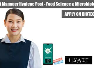 Hyatt Jobs