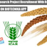 ICAR Millets Research Project Recruitment With Rs. 1 Lakh pm Pay ICAR Millets Research Project