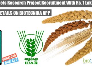 ICAR Millets Research Project