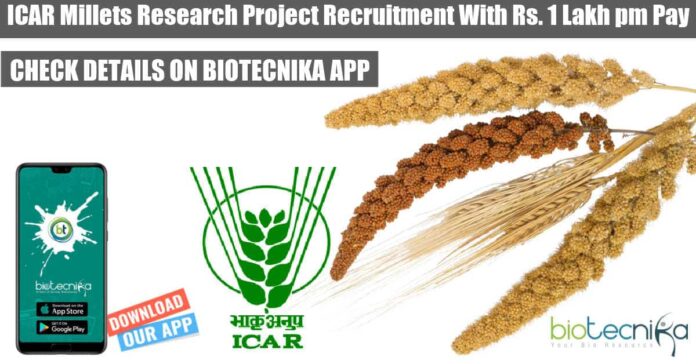 ICAR Millets Research Project