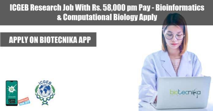 ICGEB Associate Job