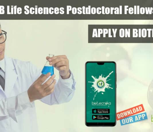 ICGEB Postdoctoral Fellowships 2022