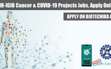 IGIB CSIR Project Jobs