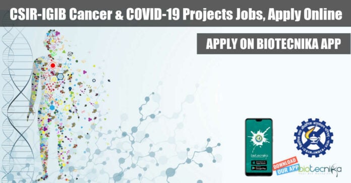 IGIB CSIR Project Jobs