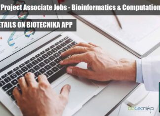 IHBT Project Jobs