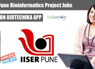 IISER Pune Bioinformatics Project Jobs