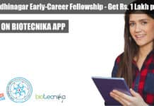 IIT Gandhinagar Early-Career Fellowship – Get Rs. 1 Lakh pm Fellowship IIT Gandhinagar Early-Career Fellowship