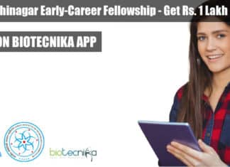 IIT Gandhinagar Early-Career Fellowship