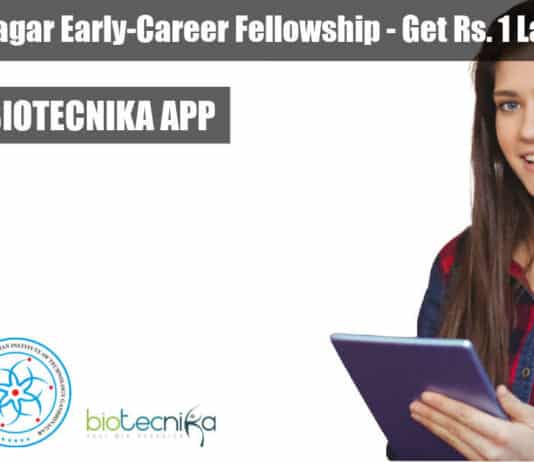 IIT Gandhinagar Early-Career Fellowship
