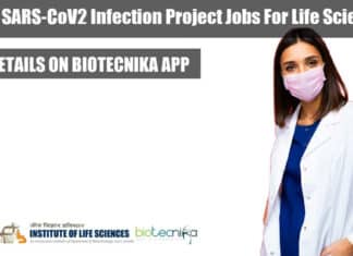 ILS Project Jobs