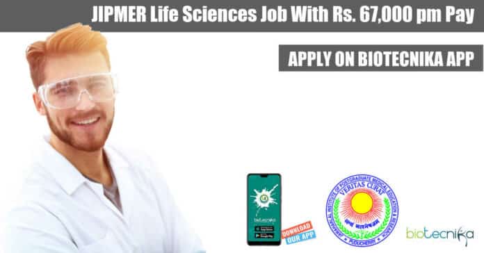 JIPMER Life Sciences Job