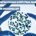 JRF Leading to PhD Recruitment at BITS Pilani, Applications Invited JRF to PhD Recruitment