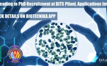 JRF to PhD Recruitment