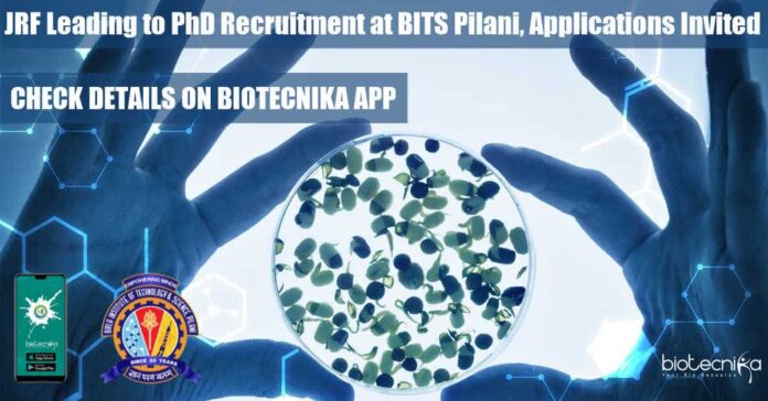JRF to PhD Recruitment
