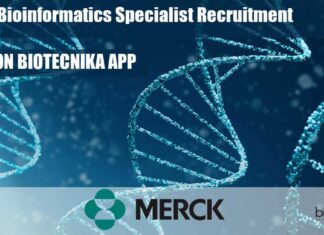 Merck Bioinformatics Specialist