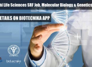 Molecular Biology JRF Job