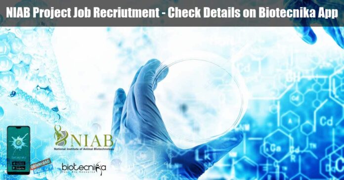 NIAB Associate Jobs